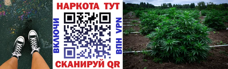 Где купить наркотики Орехово-Зуево Кокаин  ГАШ  Конопля 