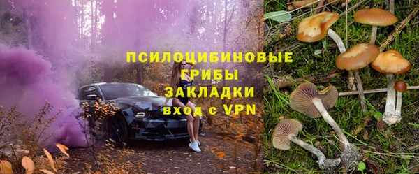 spice Алексин