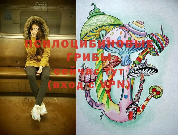 spice Алексин