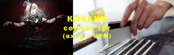 spice Алексин