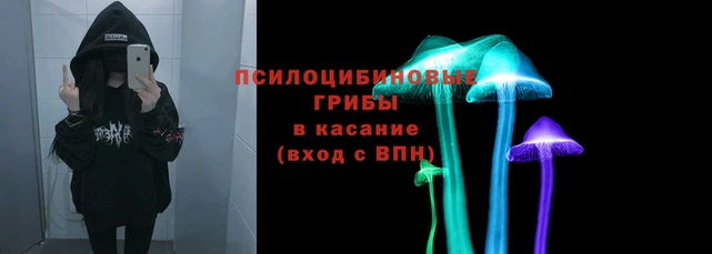 амф Лихославль