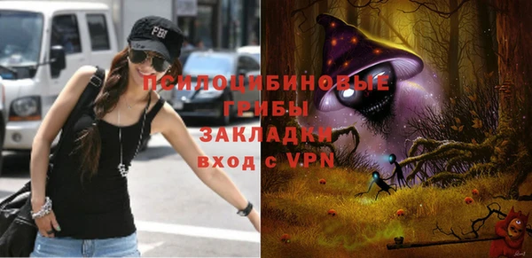 соль курить ск Алзамай