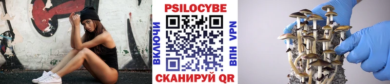 мега рабочий сайт  Орехово-Зуево  Псилоцибиновые грибы мицелий 